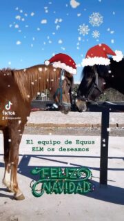 Desde Equus ELM, os deseamos días llenos de bienestar, paz y alegría cerca de la familia. 🌟

 ¡Feliz Navidad! 🎄🎁🎅🏻